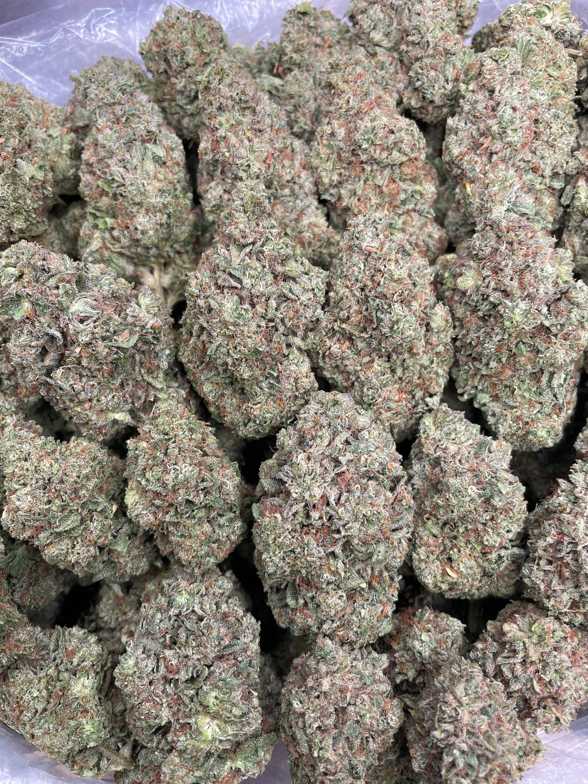 Green Goblin strain